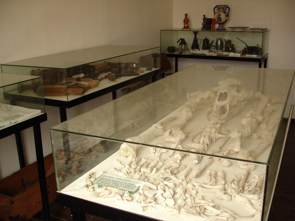 Fotografía de la galería de imágenes con id: 881